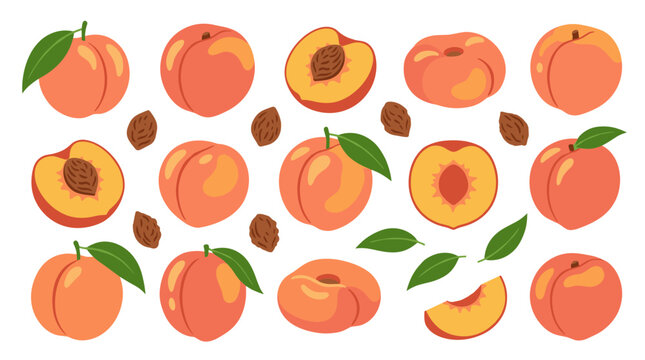 Collection of peaches and pits, whole and sliced, with green leaves, vibrant orange and pink hues, isolated on white, healthy food