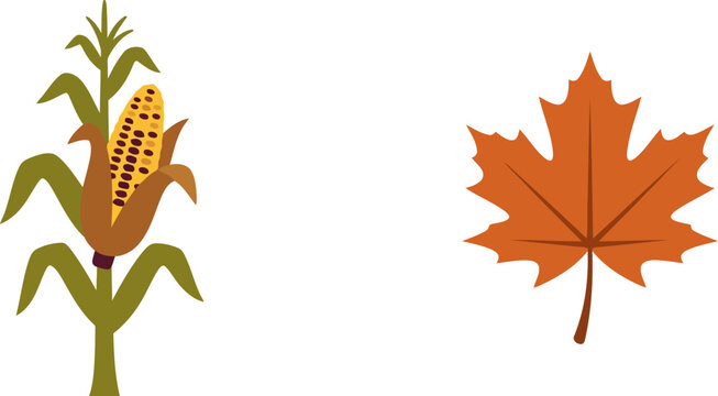 Autumn harvest icons featuring a corn stalk and a maple leaf