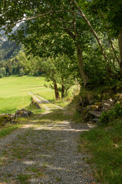 Guttannen, Switzerland. Shaded hiking trail with wooden bench beneath mature trees in the Bernese Oberland