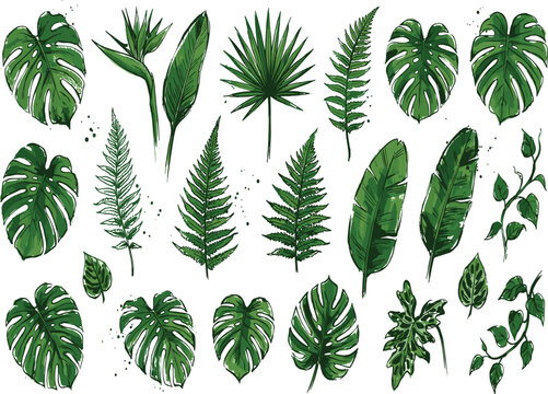 Set of hand drawn green tropical leaves and exotic plants isolated on white background
