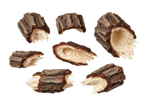 Set of broken tree bark pieces with exposed wood grain isolated on transparent background