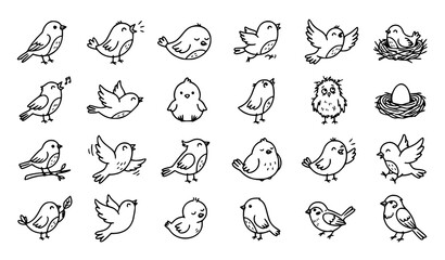 Fototapeta premium Adorable Hand Drawn Bird Doodles Black Outline Vector Illustration Collection