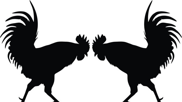 Fighting rooster silhouette vector illustration featuring aggressive gamecocks, black farm birds, isolated poultry design, traditional animal artwork collection