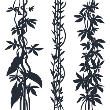 Climbing vines collection. Vertical climbing plants and leafy vines flat vector illustration set. Botanical border elements isolated on white background