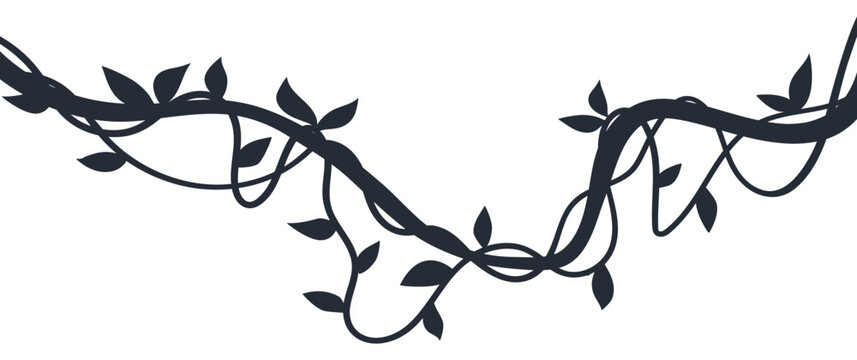 Curved vine border. Decorative intertwined branches and leaves border flat vector illustration. Botanical garland silhouette isolated on white background