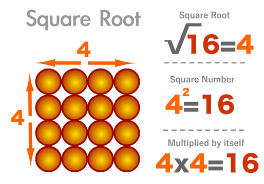 Square, root number. Sixteen, four, 4, 16. Multiply it by itself. Radicand, radical value. Math example. Visual sample. Mathematics colored concept. Illustration vector	