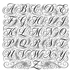 Fototapeta premium Elegant Calligraphy Alphabet Letters with Flourishes and Swirls.
