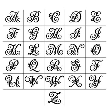 Elegant Calligraphy Alphabet Letters Collection Decorative Font.