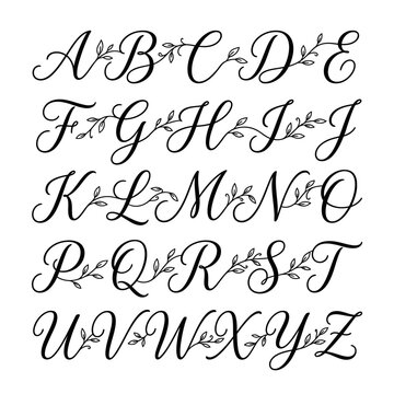 Elegant Calligraphy Alphabet with Floral Accents.