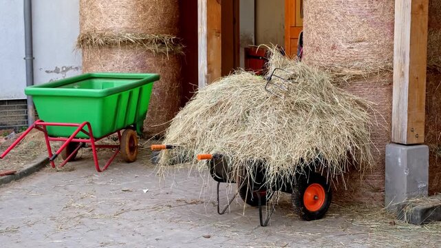 Wheelbarrow Filled with Hay Fodder for Cattle and Horses with Hay Roll Bales at Stable Barn