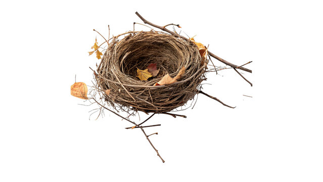 Small round twigs empty bird nest forest asset isolated on transparent background