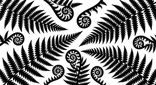 Black fern leaf silhouettes and koru fiddleheads on white background