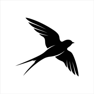 Minimalist swallow bird silhouette, flying swift bird vector icon, elegant black avian shape for nature branding and logo design isolated on White Background