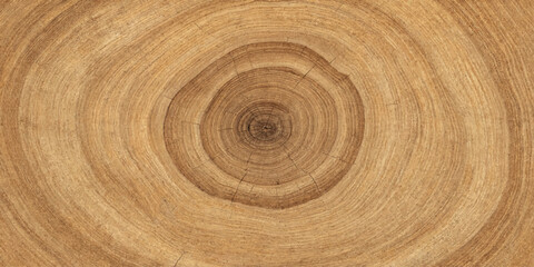 The natural pattern of wood grain, showing the intricate growth rings of a tree trunk, presents a beautiful and organic texture. © RD Visuals