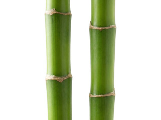 Obraz premium Closeup of two green bamboo stalks isolated on transparent background