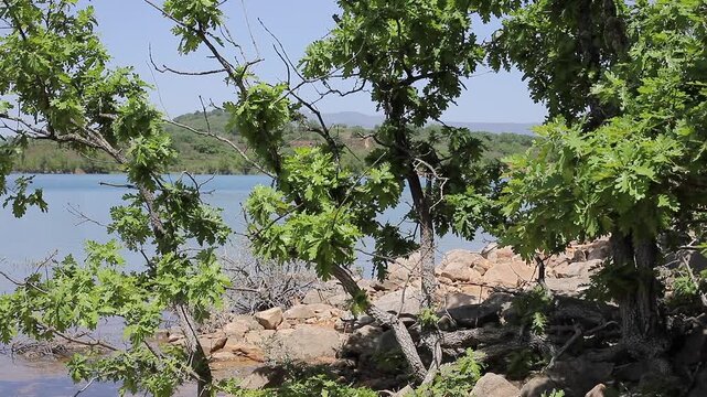 A lake and its surroundings 