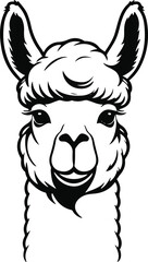Fototapeta premium Minimal Alpaca Emblem, Bold Black Outline, Smooth Facial Geometry, Clean Lifestyle Vector