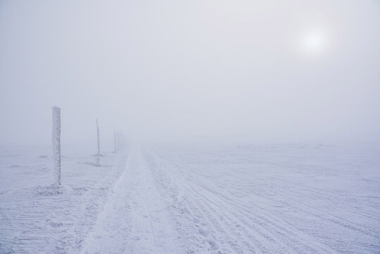 Whiteout on Snowy Mountain Trail