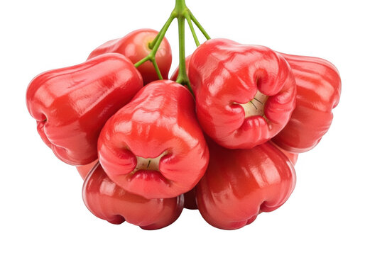 Fresh ripe rose apples hanging on a branch isolated on transparent background