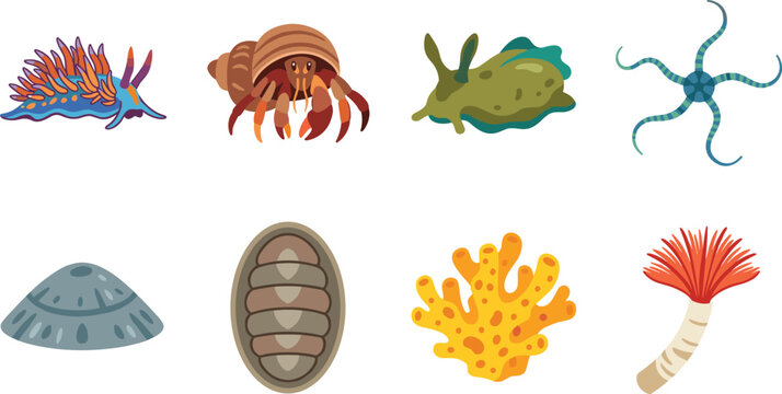 Marine Invertebrate Sea Creatures Vector Icon Set with Colorful Ocean Life Collection