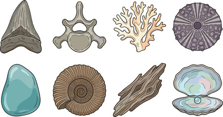 Marine Fossils and Ocean Natural Objects Vector Icon Set Collection © MD MIJANUR
