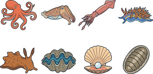 Marine Mollusks and Sea Invertebrates Vector Icon Collection with Ocean Wildlife © MD MIJANUR