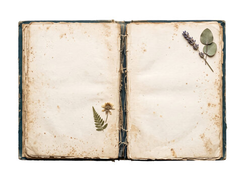 Open vintage book with pressed flowers on pages isolated on transparent background for nostalgia