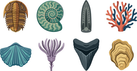 Prehistoric Marine Fossils and Ancient Sea Life Vector Icon Collection Set © MD MIJANUR