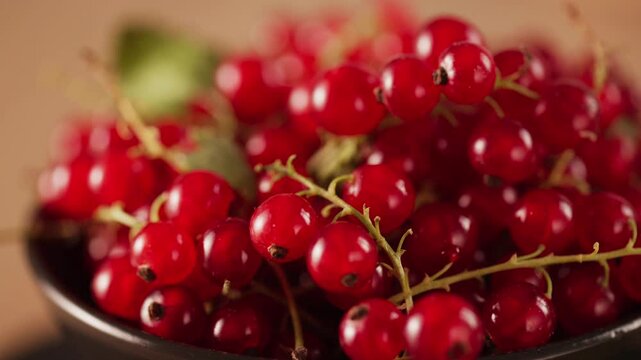 Fresh ripe redcurrants with green stems in a bowl. Juicy organic redcurrant berries background for healthy food design.