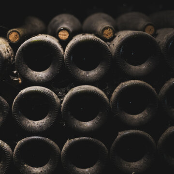 Dust-covered wine bottles stored horizontally in a Burgundy, France cellar, with cork closures and cobwebs highlighting long-term aging, tradition, and wine maturation.
