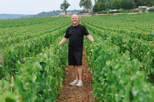 Man standing on a path between Chardonnay grapevines in Puligny-Montrachet, Burgundy, France, surrounded by lush green vines in a renowned wine-growing landscape.