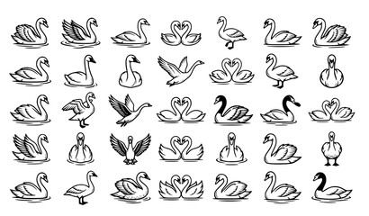 Fototapeta premium 30 Black and White Swan Bird Outline Vector Collection Isolated on White Background