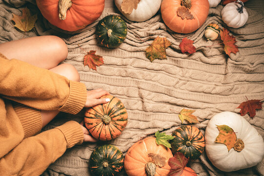 autumn background with woman sitting between pumpkins, top view