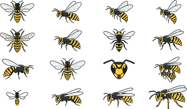 Wasp and Hornet Vector Icon Bundle Featuring Flying Insects Stingers and Mask Logo Elements Isolated on White Background for Pest Control Branding