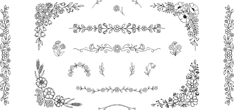 Set of hand drawn floral borders and decorative line separators vintage.