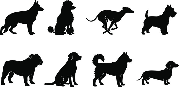 Dog breed silhouette collection featuring German Shepherd, Poodle, Greyhound, Terrier, Bulldog, Labrador, Spitz, and Dachshund for design projects