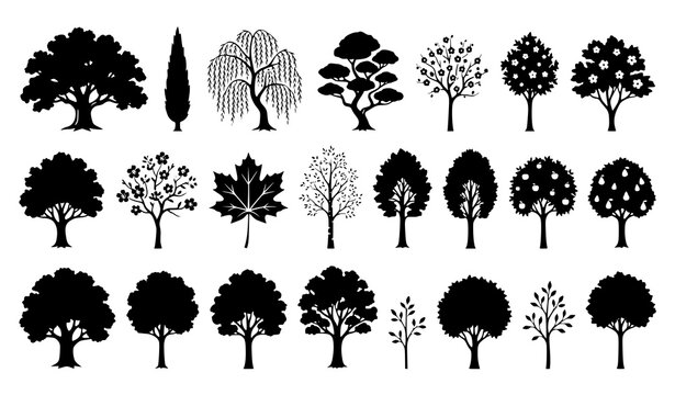 Tree Silhouette Collection Featuring Forest Garden Ornamental and Deciduous Trees Vector Illustration Set
