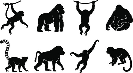 Primate silhouette collection featuring monkey, gorilla, chimpanzee, orangutan, lemur, baboon, gibbon, and small monkey for wildlife design projects © Samiron