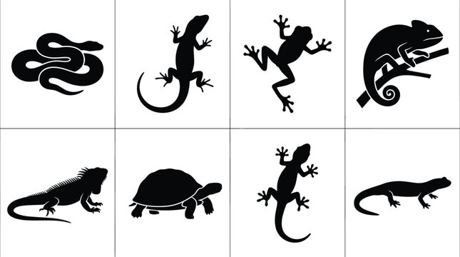 Reptile and amphibian silhouette collection featuring snake, lizard, frog, chameleon, iguana, turtle, salamander, and newt for wildlife design projects