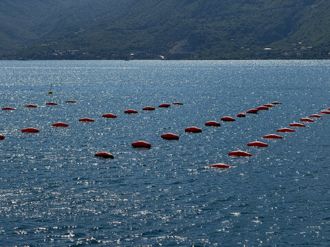 Oyster farm in the Adriatic Sea with floating oyster cultivation structures, traditional aquaculture and coastal seafood production