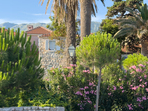 Old house facade surrounded by lush greenery and blooming flowers, charming traditional architecture and romantic garden atmosphere