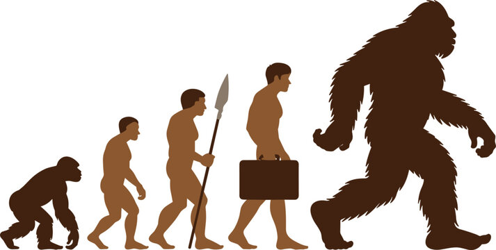Evolution of human figures from ape to modern man, monochrome human evolution monkey hominid