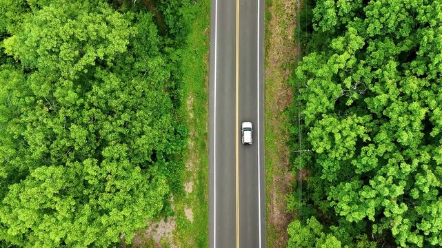 Drone aerial view of a silver car on a peaceful forest road in rural America, representing road trip journeys, travel lifestyle, wilderness, nature, and the freedom of exploring the open road.