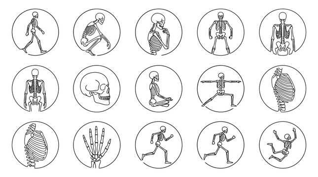 Diverse Human Skeleton Poses Icon Set - Medical Anatomy & Health Concepts