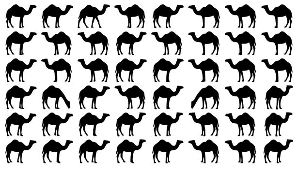 Black Dromedary Camel Vector Collection with Desert Animal Silhouette Illustrations