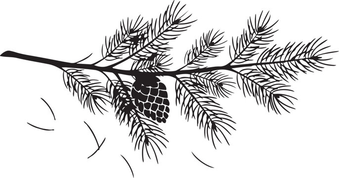 Silhouette of a pine branch with a cone and falling needles on white