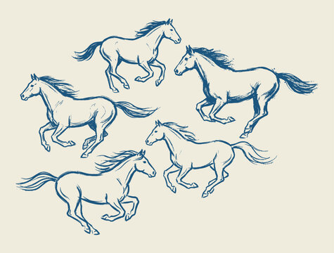 Hand drawn running horse sketch set. Wild mustang galloping free line art outline graphic vector illustration collection.