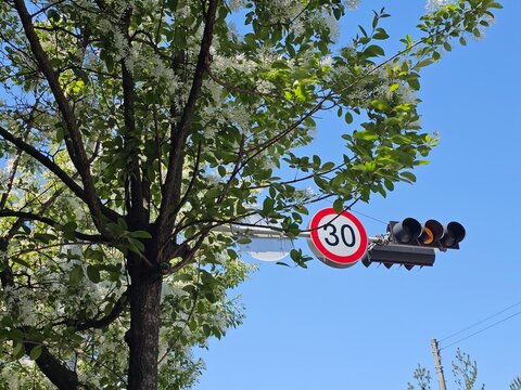 no parking sign