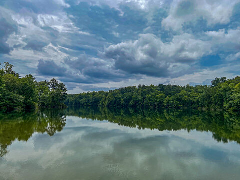 Forest Reflections Along the Susquehanna River