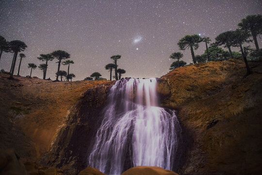 Starry Night Waterfall with Small Magellanic Cloud and Araucaria Forest